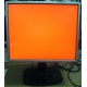 Монитор 19" TFT HP 1955 (DVI в Дербенте, USB-хаб) "квадратный" (Дербент)