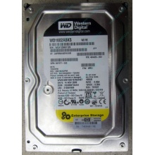 Жесткий диск 160Gb WD WD1602ABKS SATA (Дербент)