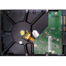 Б/У жёсткий диск 1Tb Western Digital WD10EVVS Green (WD AV-GP 1000 GB) 5400 rpm SATA (Дербент)