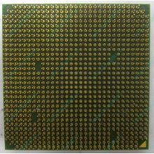 Процессор AMD Sempron 3000+ (1.6GHz) SDA3000IAA3CN s.AM2 (Дербент)